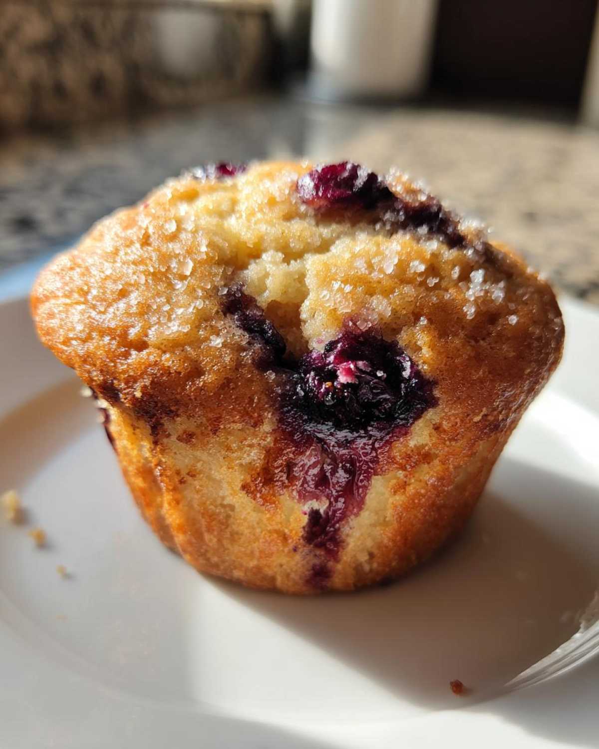 Banana Blueberry Muffins - detail 1