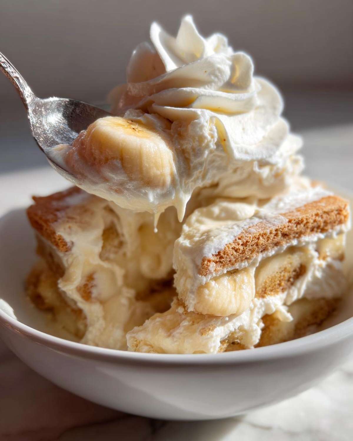 Banana Pudding - detail 2