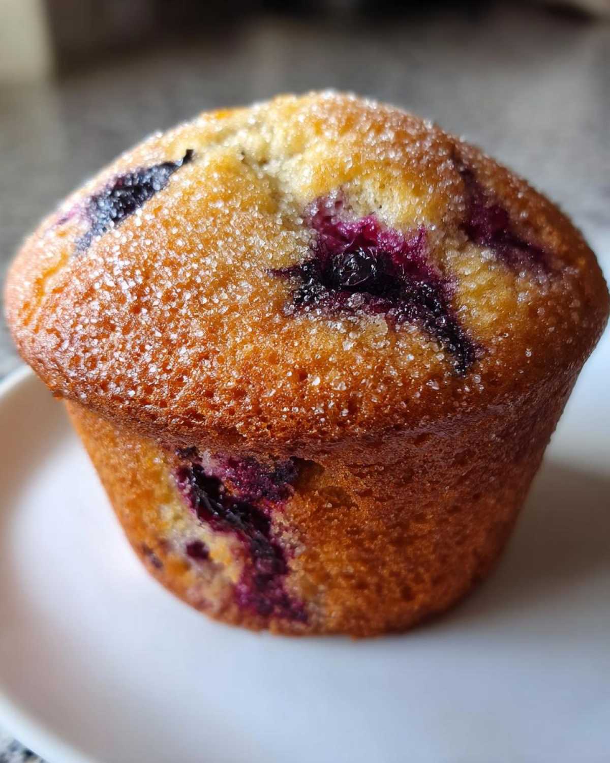 Blueberry Muffins - detail 2