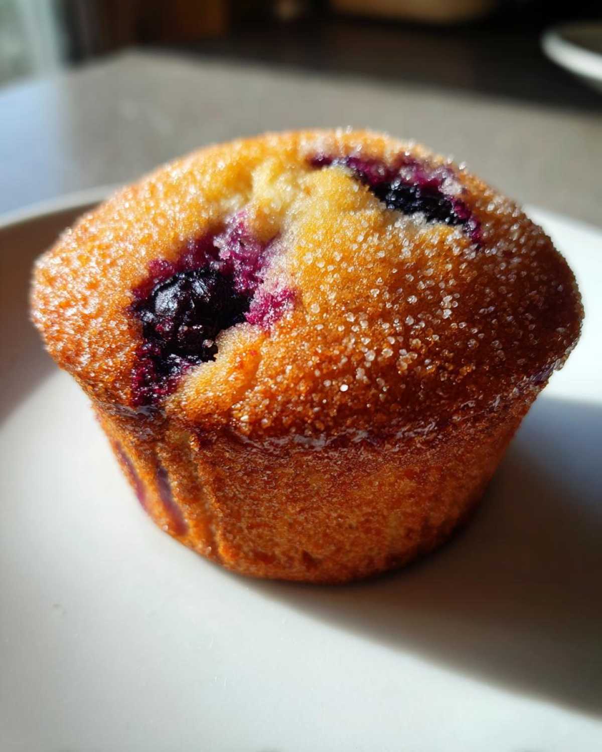 Blueberry Muffins - detail 3