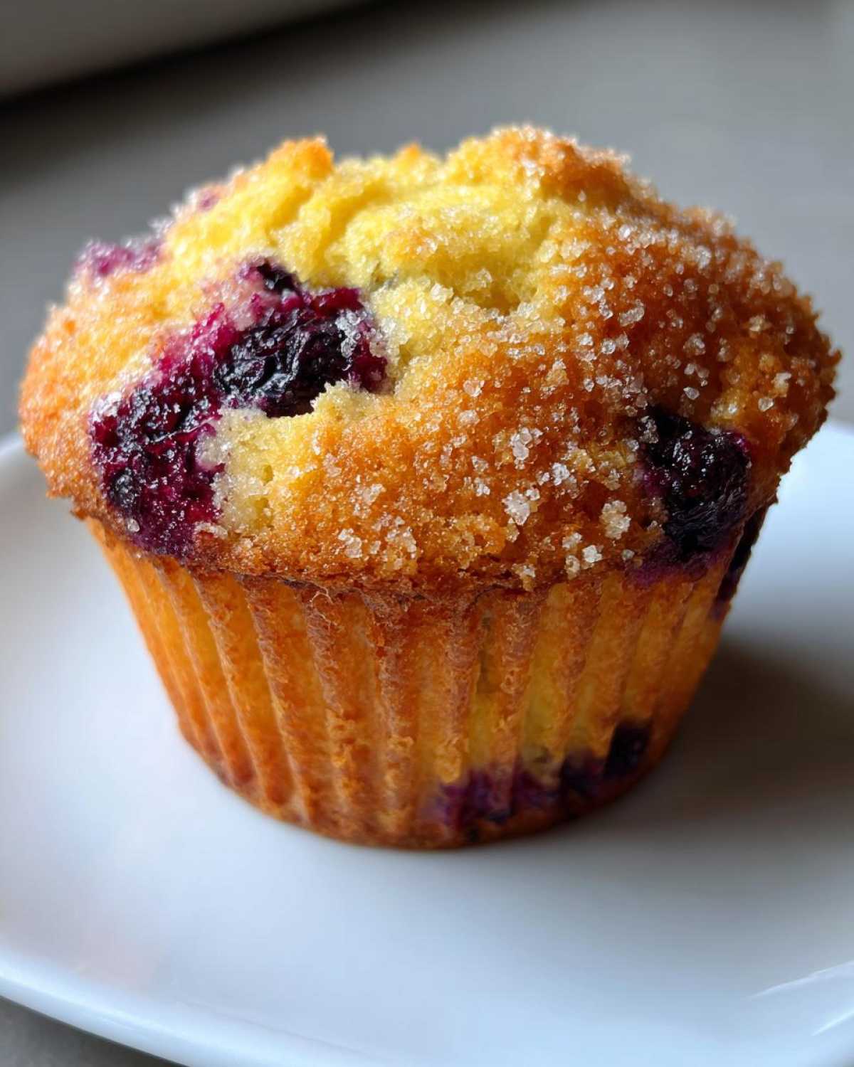 Blueberry Muffins - detail 4