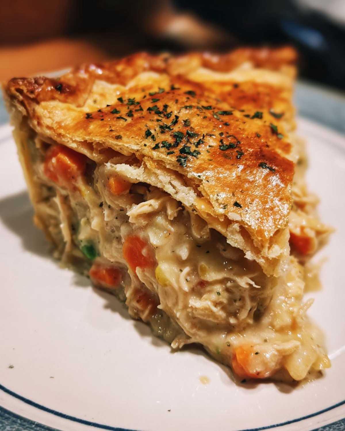 Chicken Pot Pie - detail 2