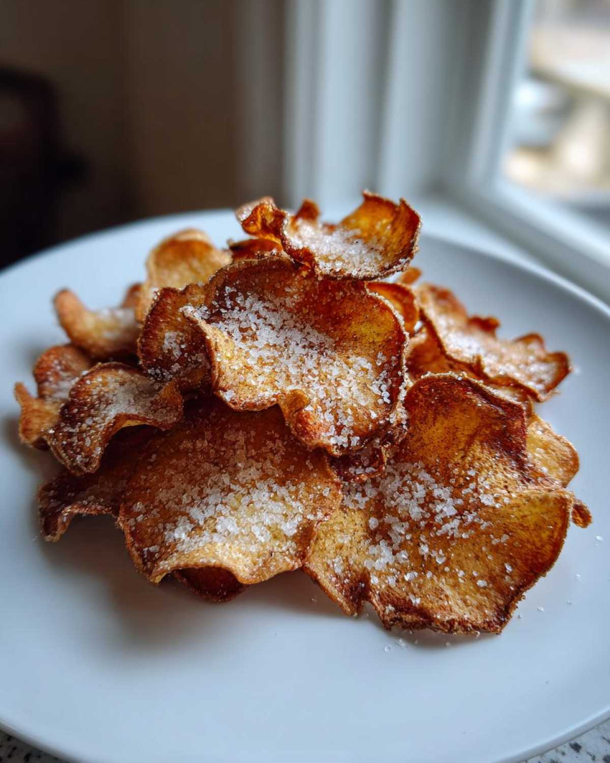 Air Fryer Cinnamon Apple Chips - detail 2