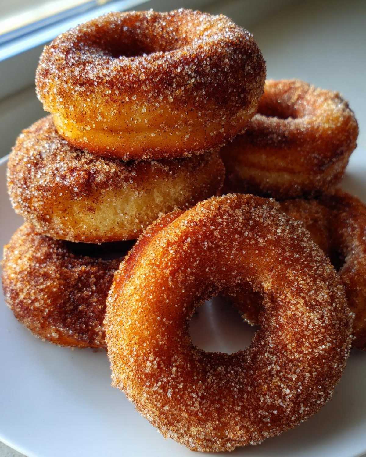 Air Fryer Cinnamon Sugar Donuts - detail 1