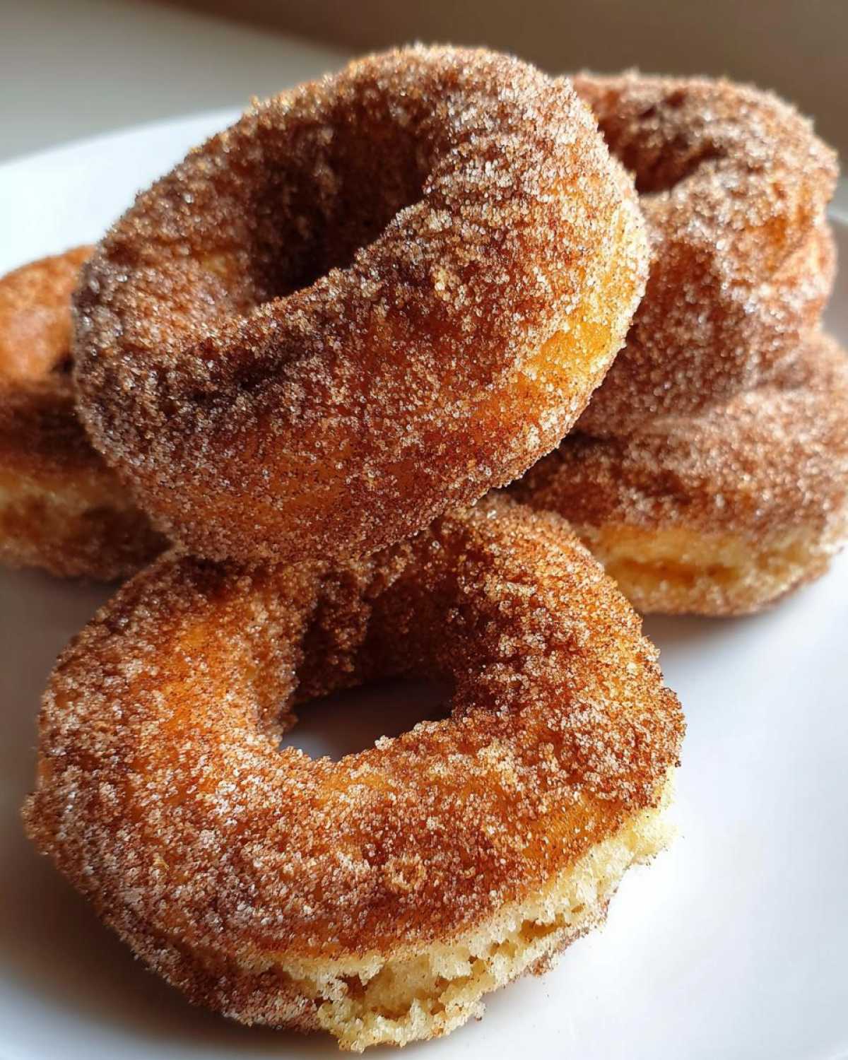 Air Fryer Cinnamon Sugar Donuts - detail 3