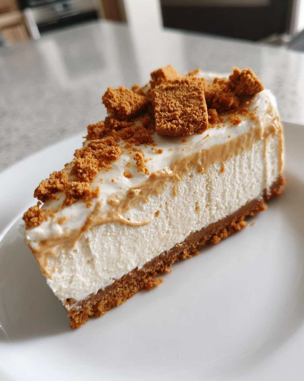 No Bake Biscoff Cheesecake - detail 2