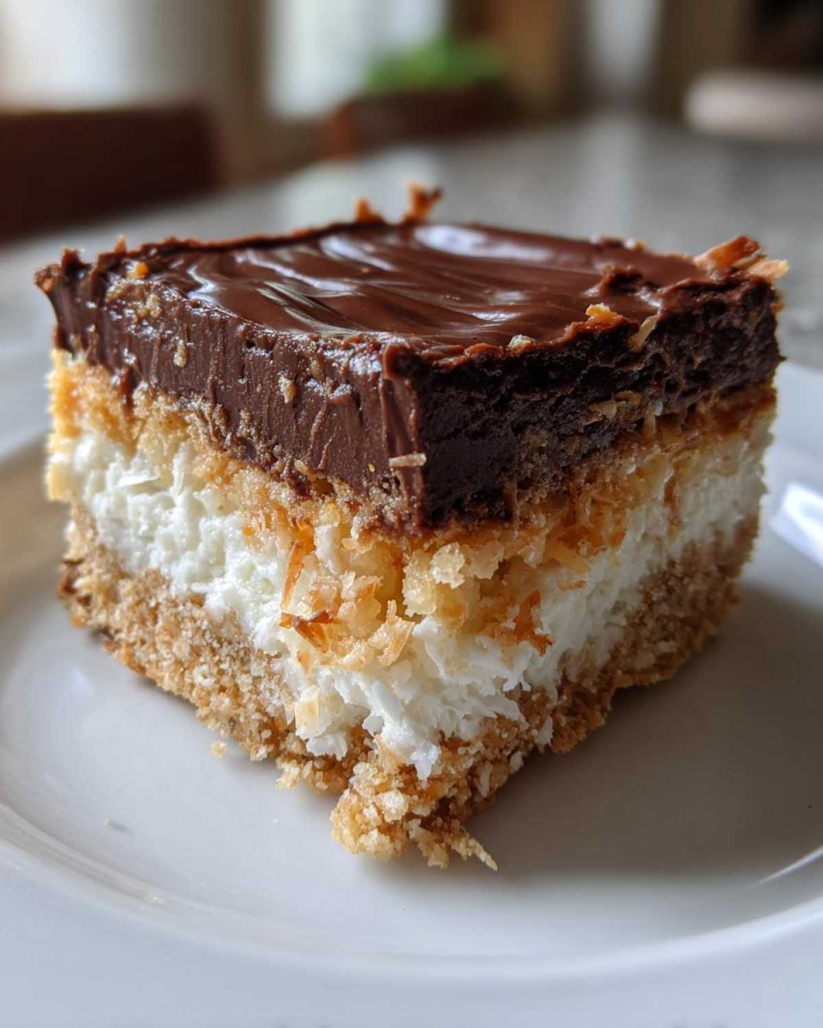 No Bake Chocolate Coconut Bars - detail 3