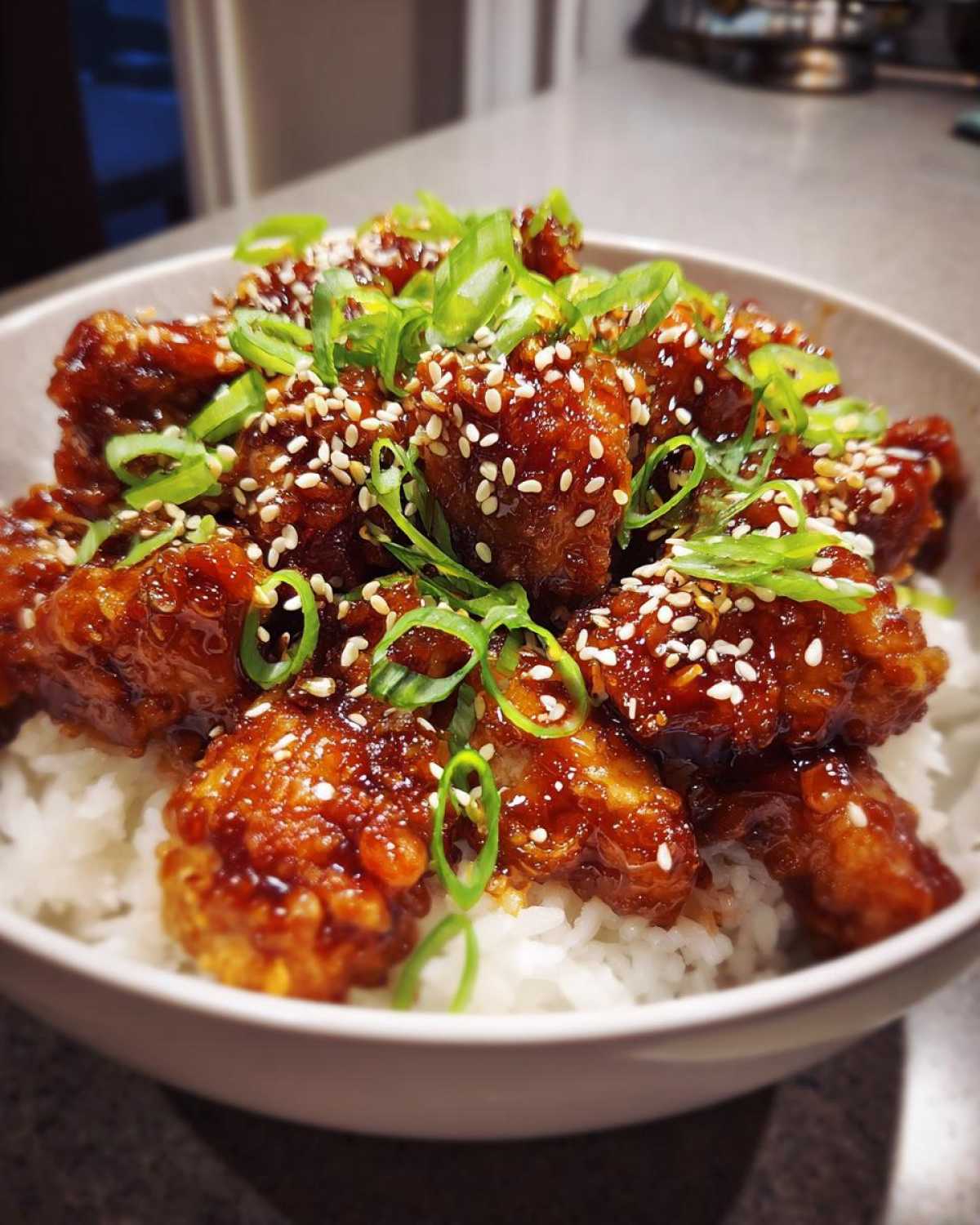 Teriyaki Chicken Rice Bowl - detail 2