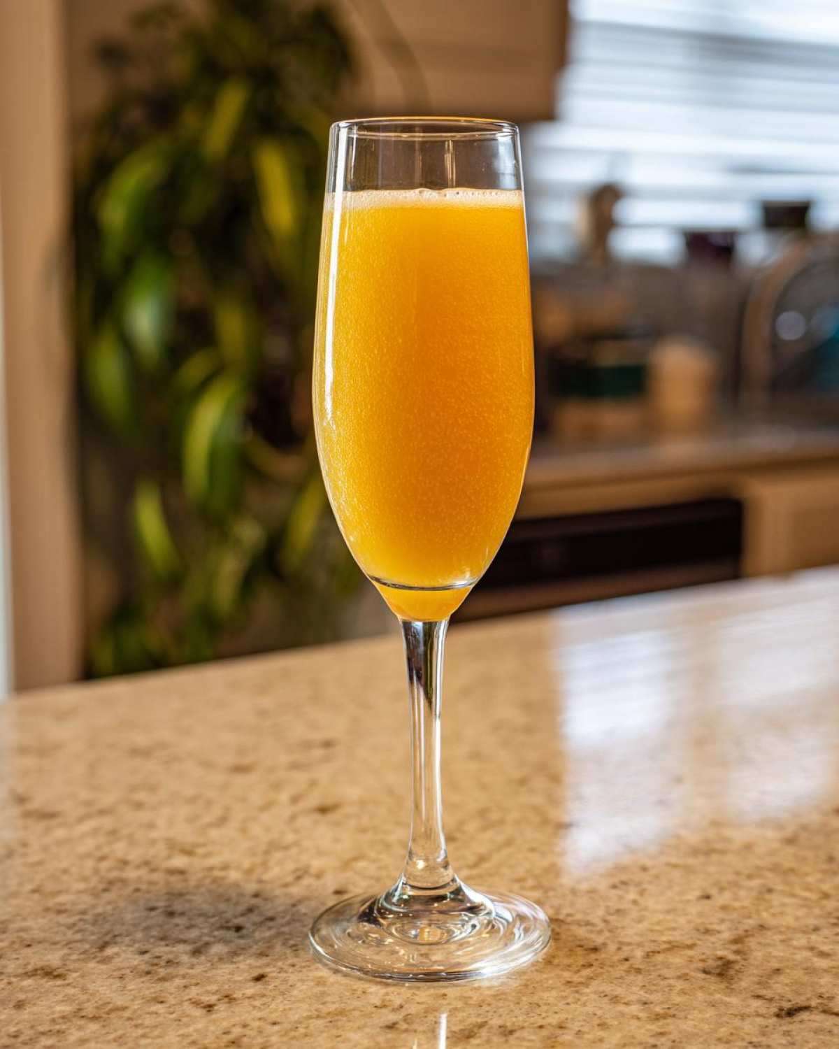 A tall flute glass filled with a bright orange, bubbly bellini recipe cocktail sitting on a granite countertop.