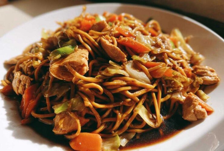 Close-up of a serving of saucy chicken chow mein recipe with noodles, chicken pieces, carrots, and cabbage.